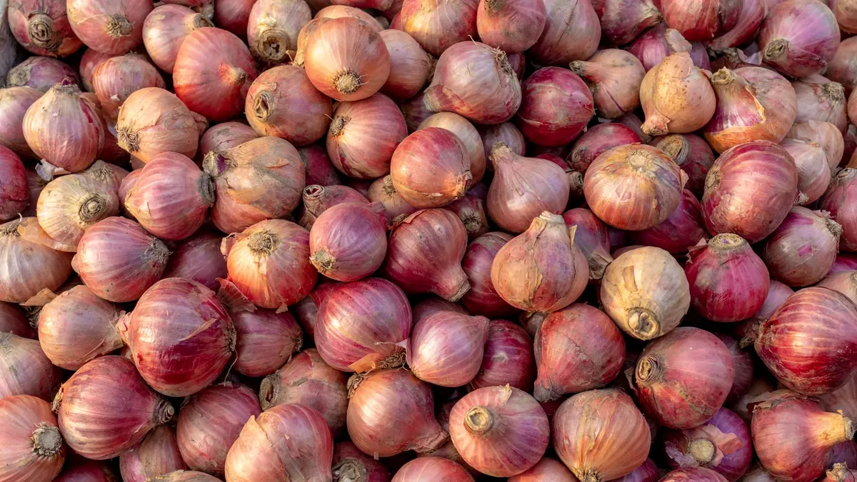 onions export market for ASEAN buyers