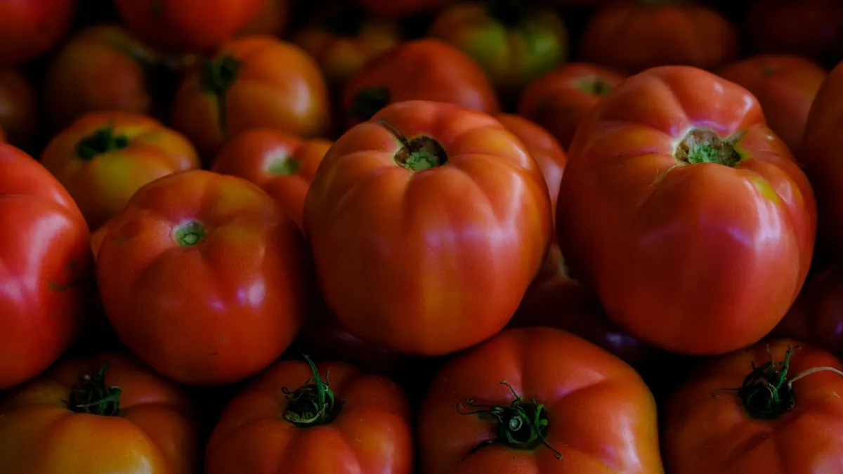 tomatoes export market for ASEAN buyers