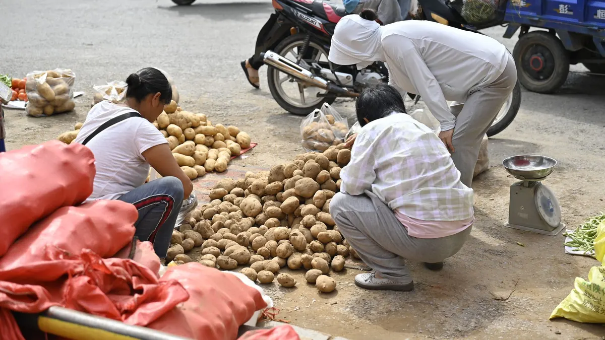 potatoes export market for ASEAN buyers
