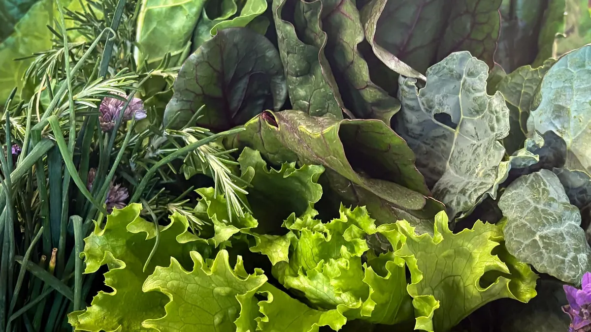 leafy greens export market for ASEAN buyers