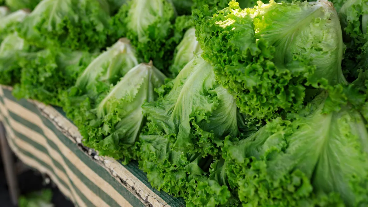 leafy greens export market for ASEAN buyers