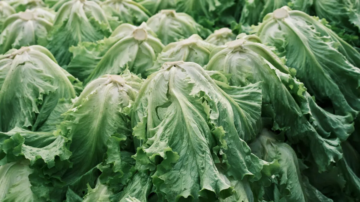 leafy greens export market for ASEAN buyers