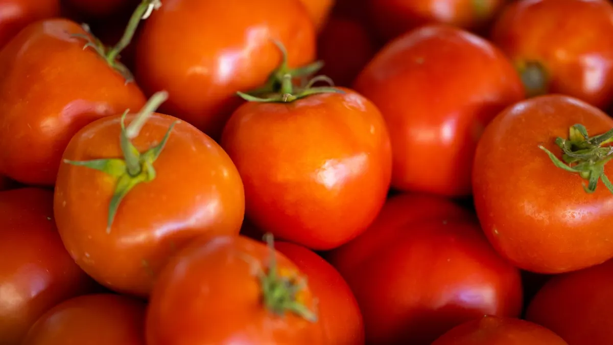tomatoes export market for ASEAN buyers