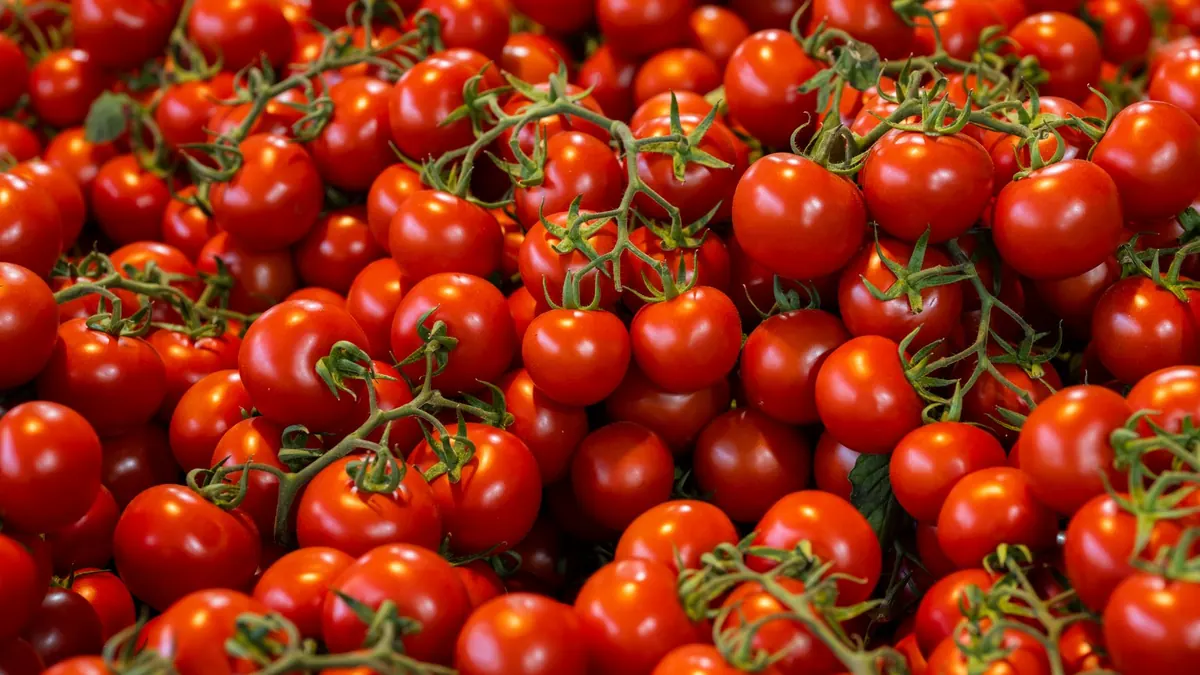 tomatoes export market for ASEAN buyers