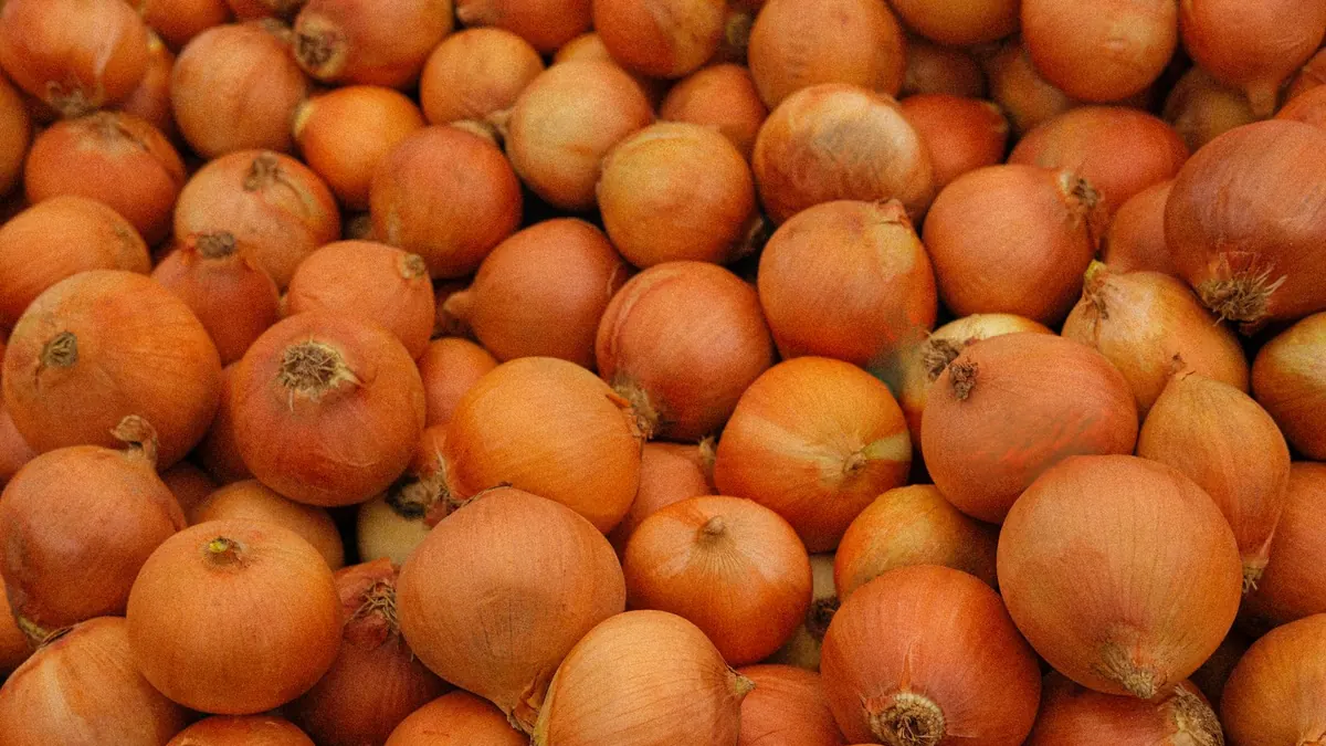 onions export market for ASEAN buyers