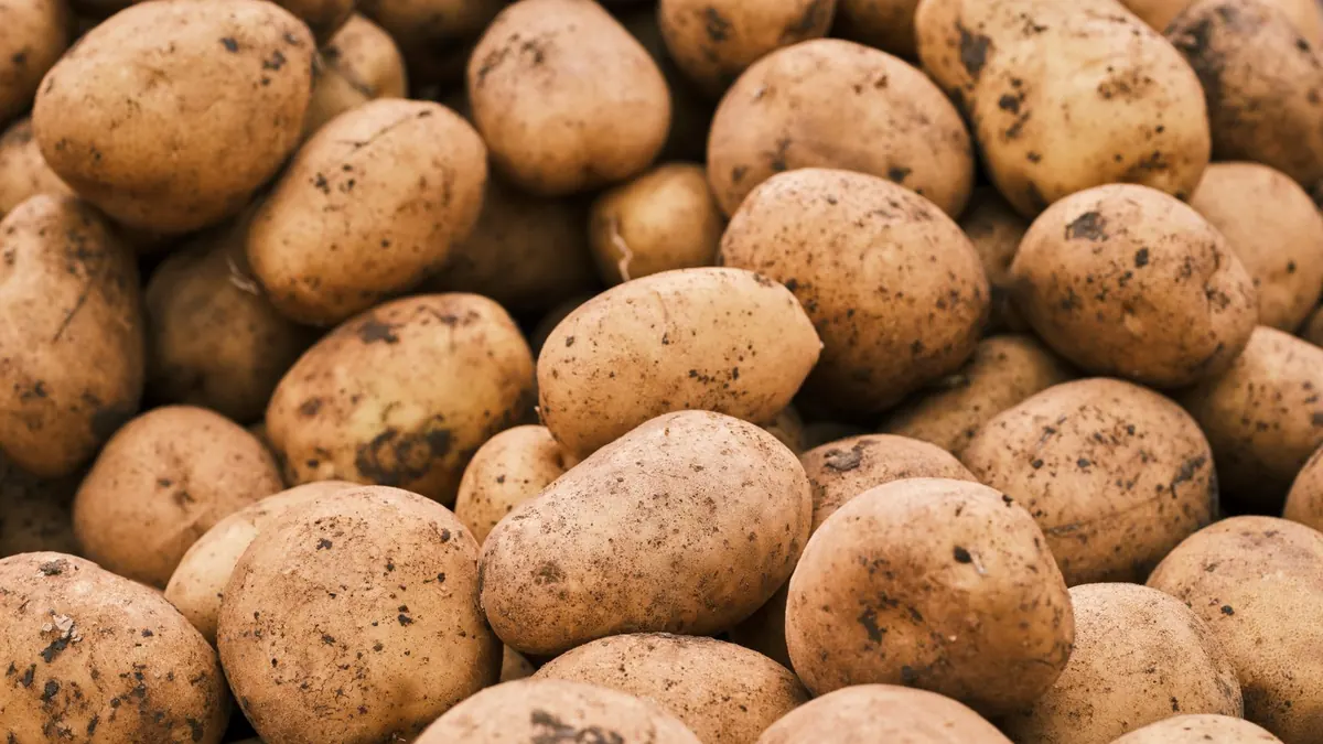 potatoes export market for ASEAN buyers