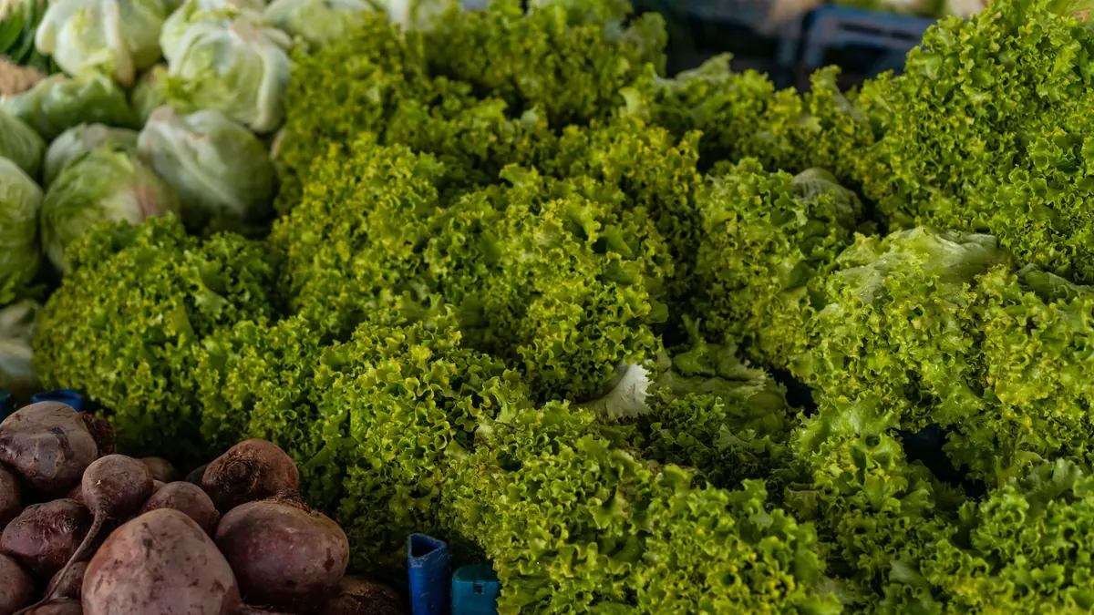 fresh produce export market for ASEAN buyers