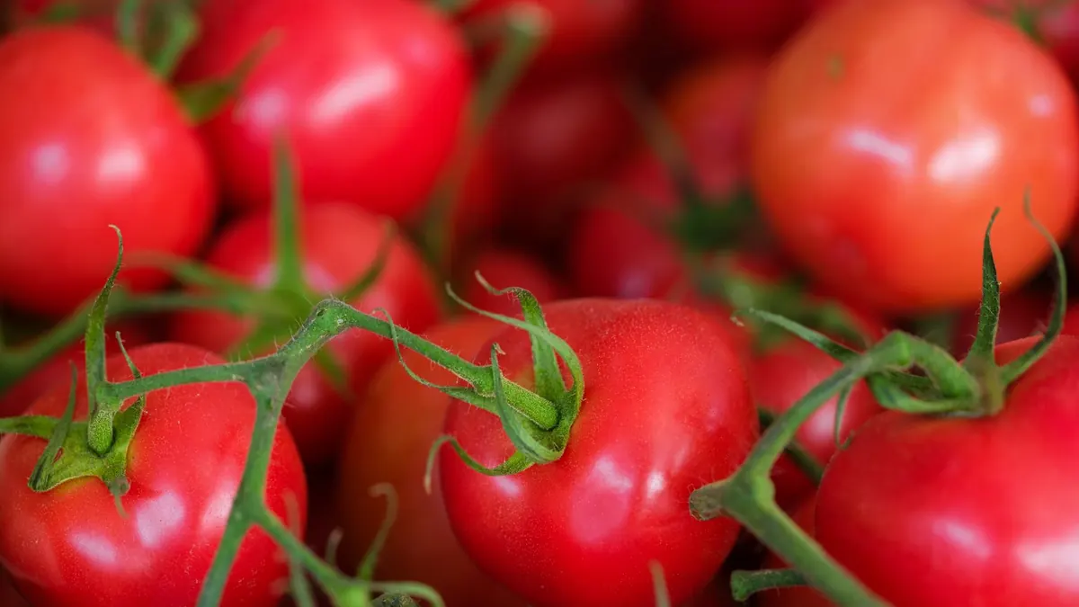 tomatoes export market for ASEAN buyers