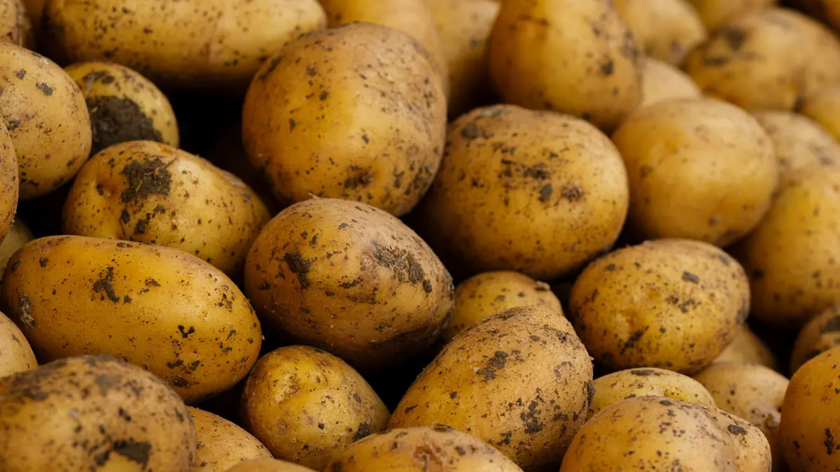 potatoes export market for ASEAN buyers