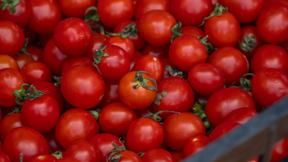 tomatoes export market for ASEAN buyers
