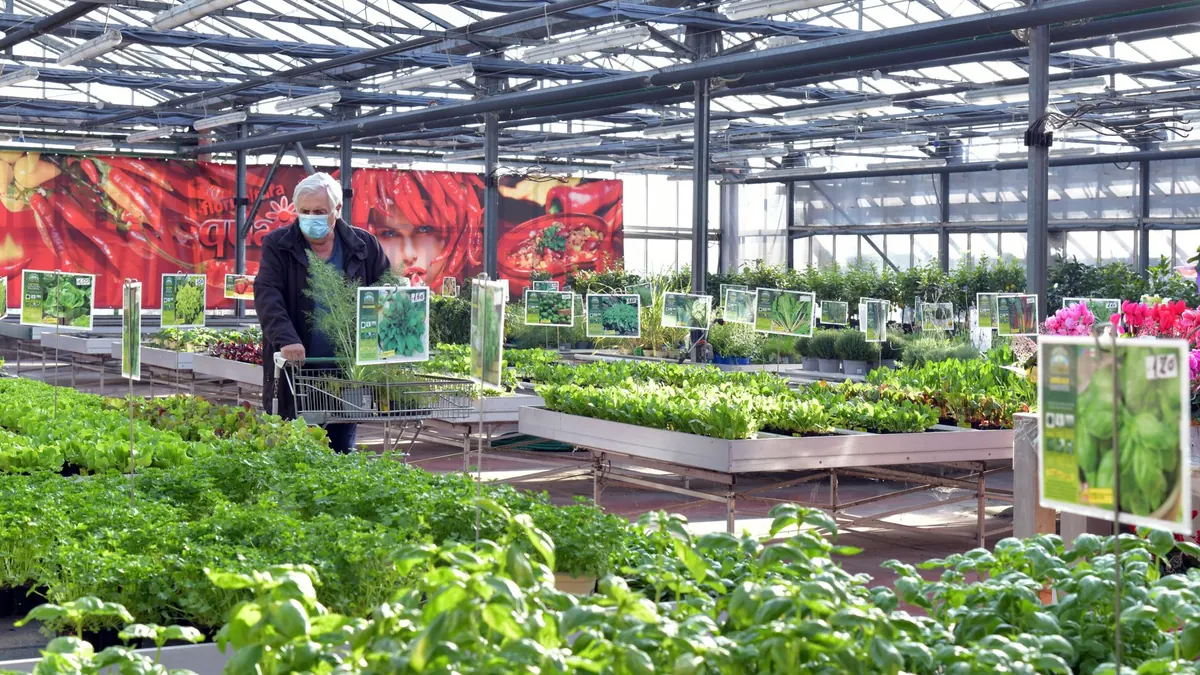 vegetables export market for ASEAN buyers