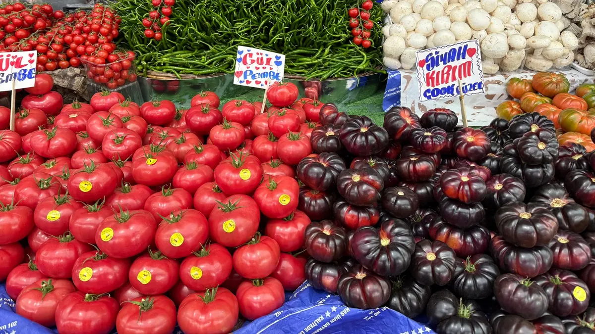 fresh produce export market for EUROPE buyers