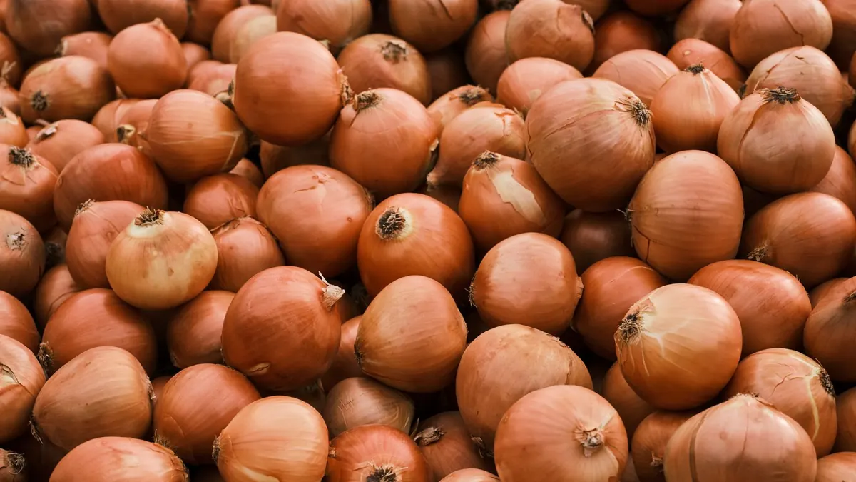 onions export market for EUROPE buyers