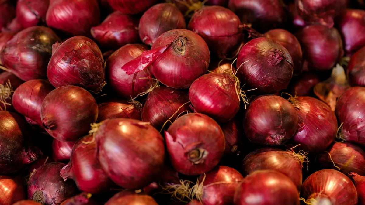 onions export market for EUROPE buyers