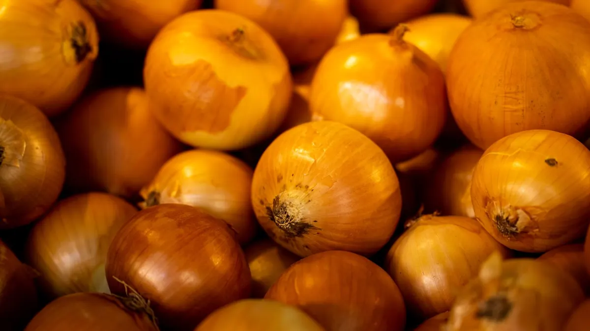onions export market for EUROPE buyers