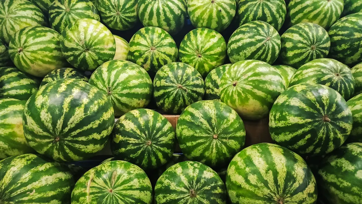 bitter gourd export market for EUROPE buyers