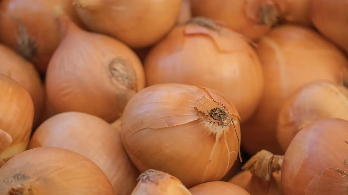 onions export market for EUROPE buyers