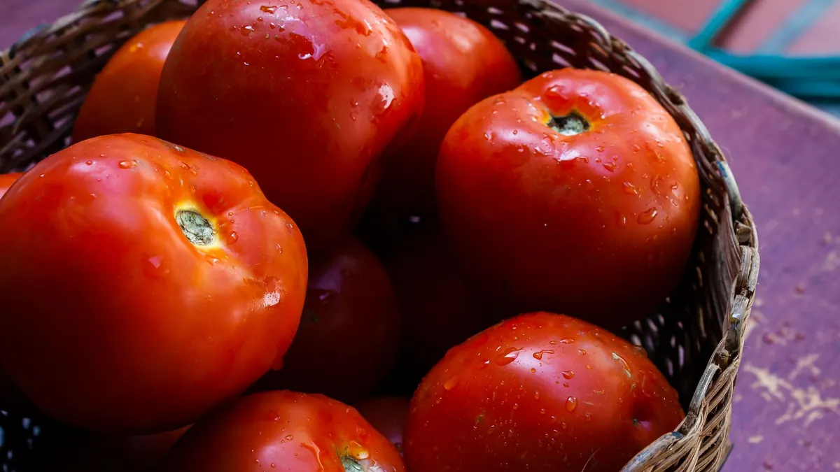 tomatoes export market for EUROPE buyers