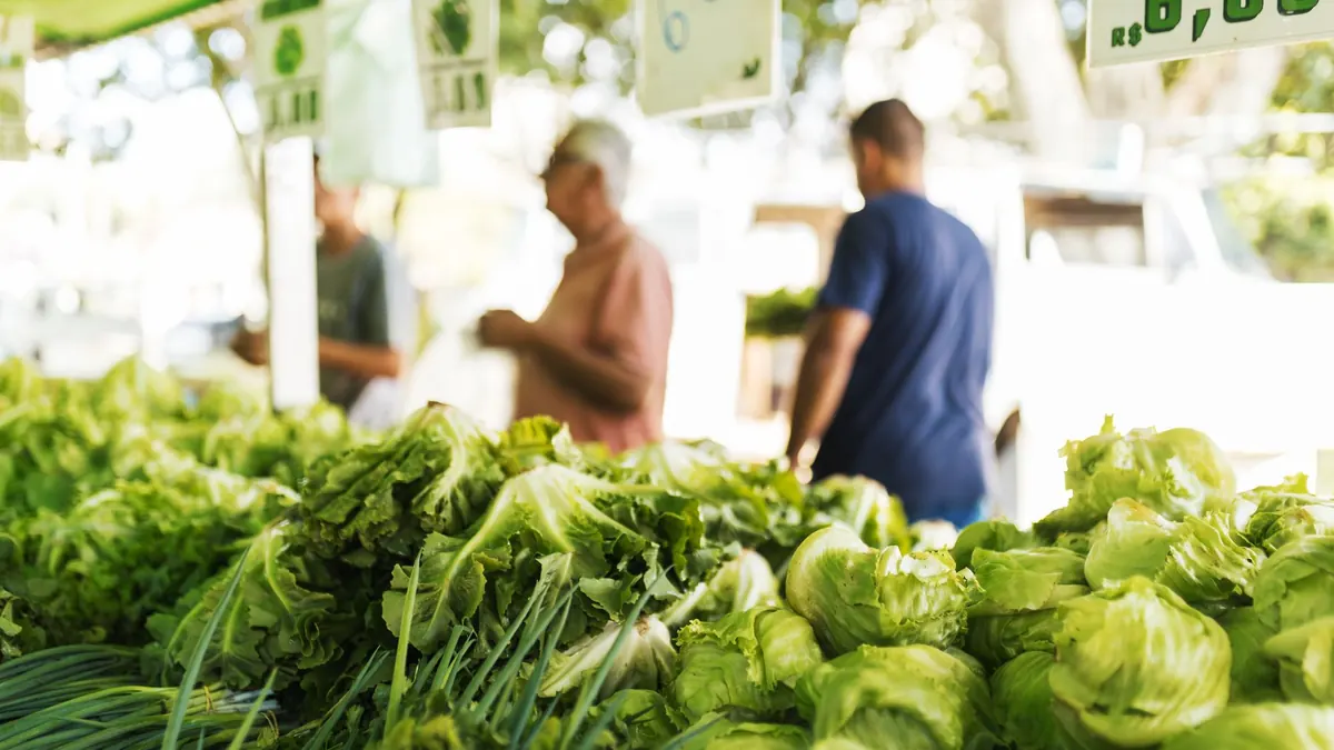 fresh produce export market for GLOBAL buyers