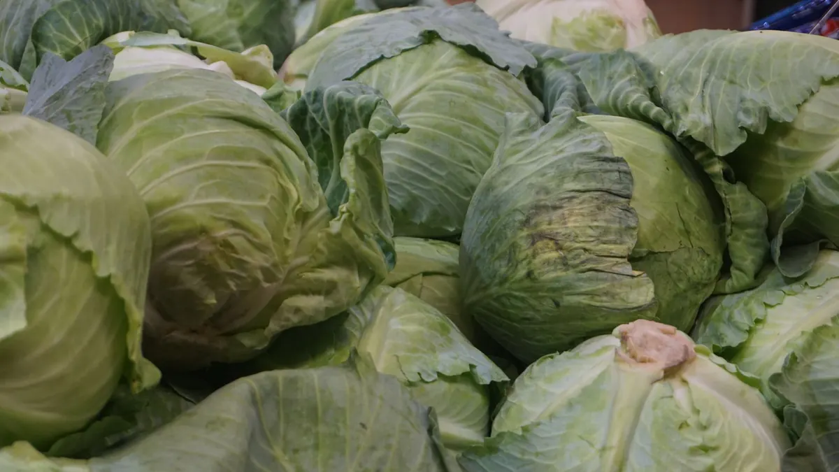 leafy greens export market for GLOBAL buyers