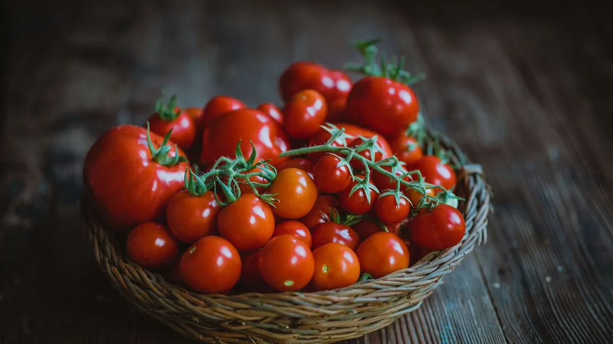 tomatoes export market for GLOBAL buyers