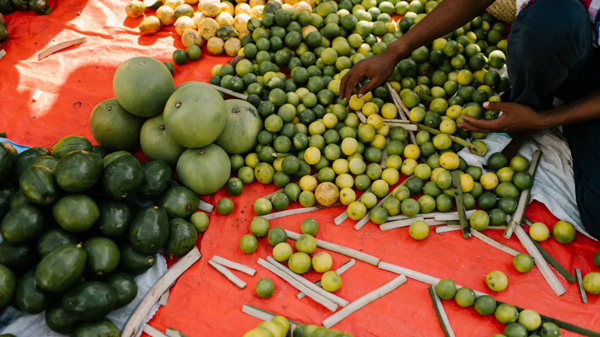 bitter gourd export market for GLOBAL buyers