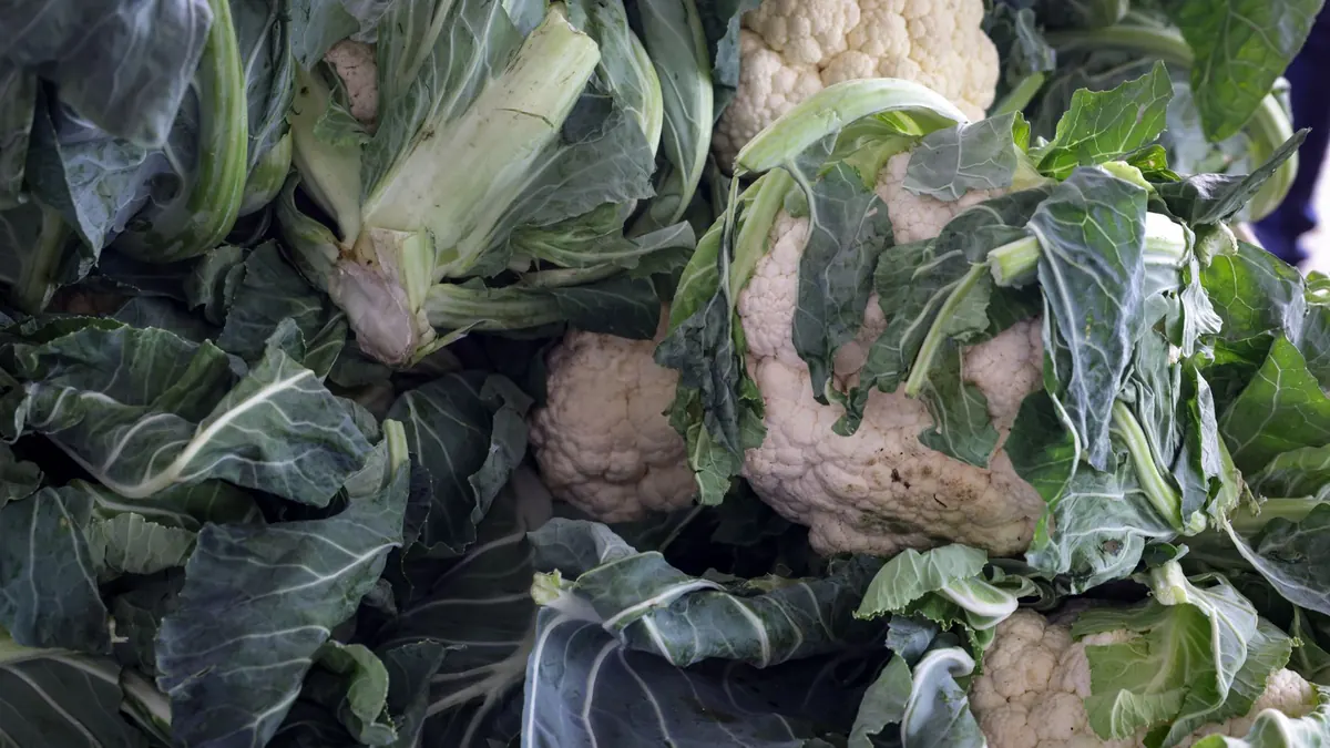 leafy greens export market for GLOBAL buyers