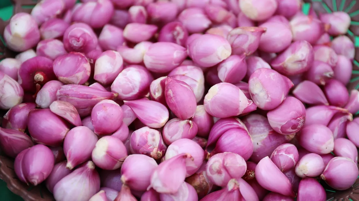 onions export market for GLOBAL buyers