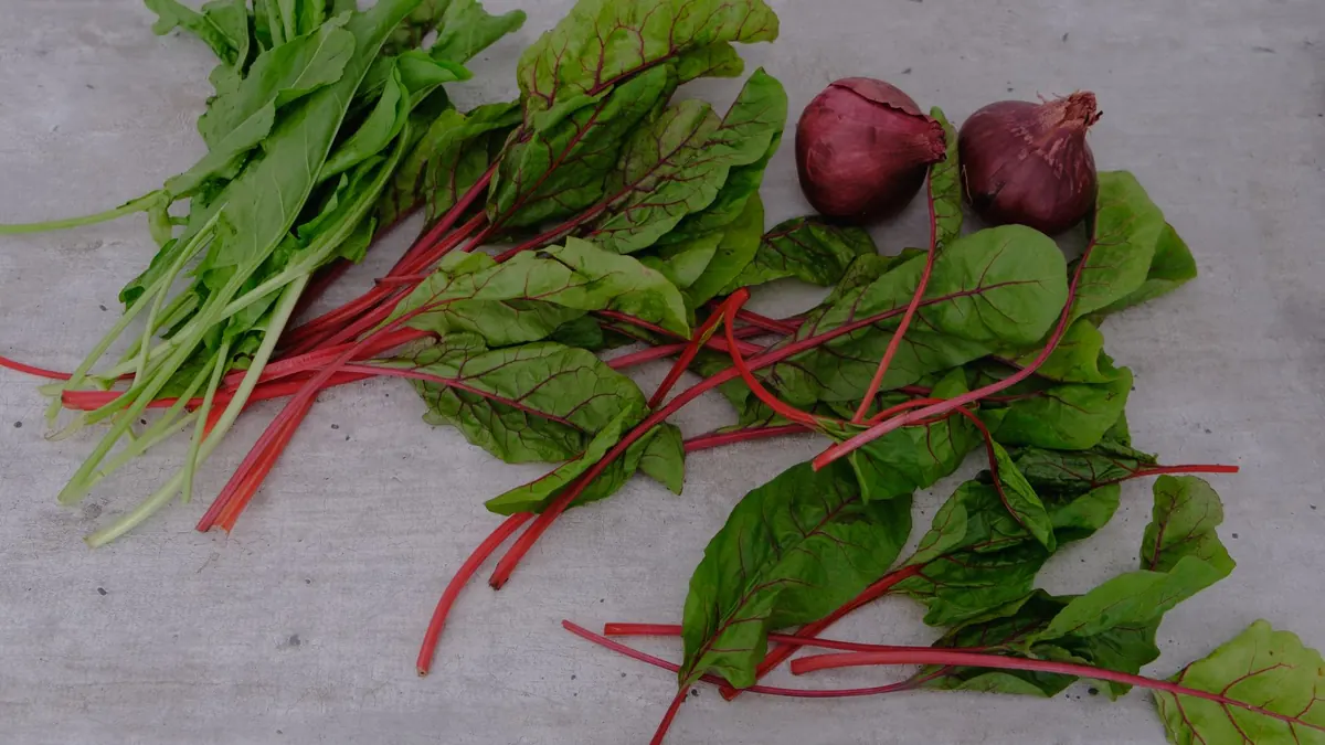 leafy greens export market for UAE buyers