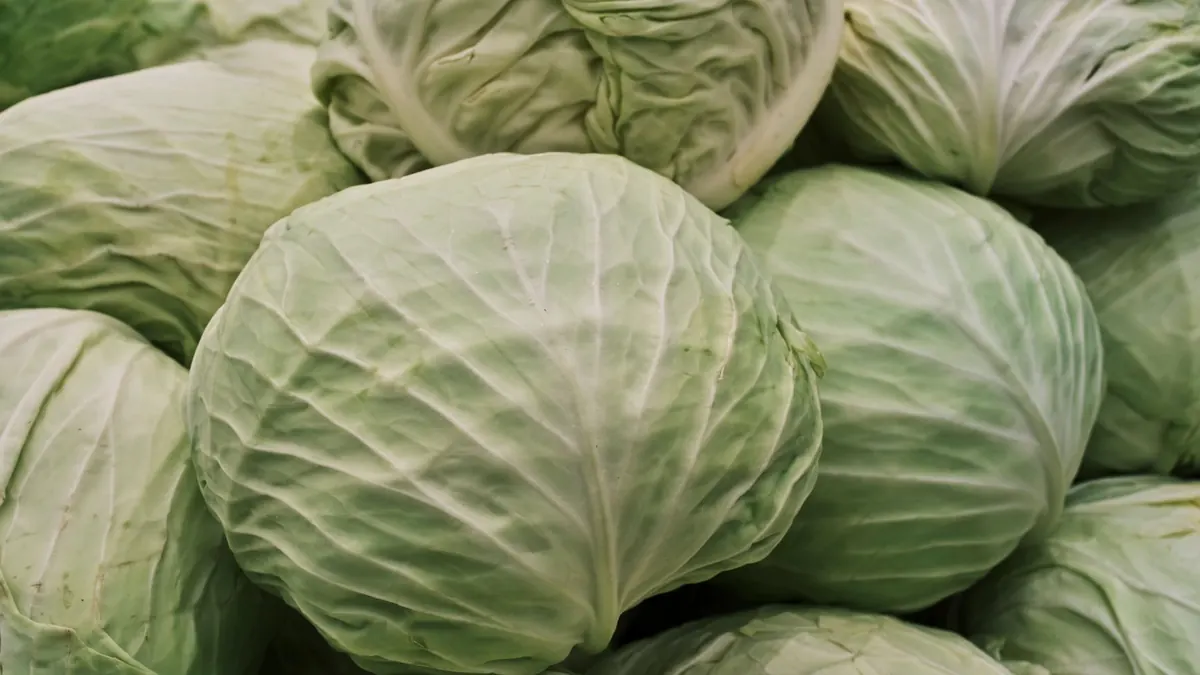 leafy greens export market for UAE buyers