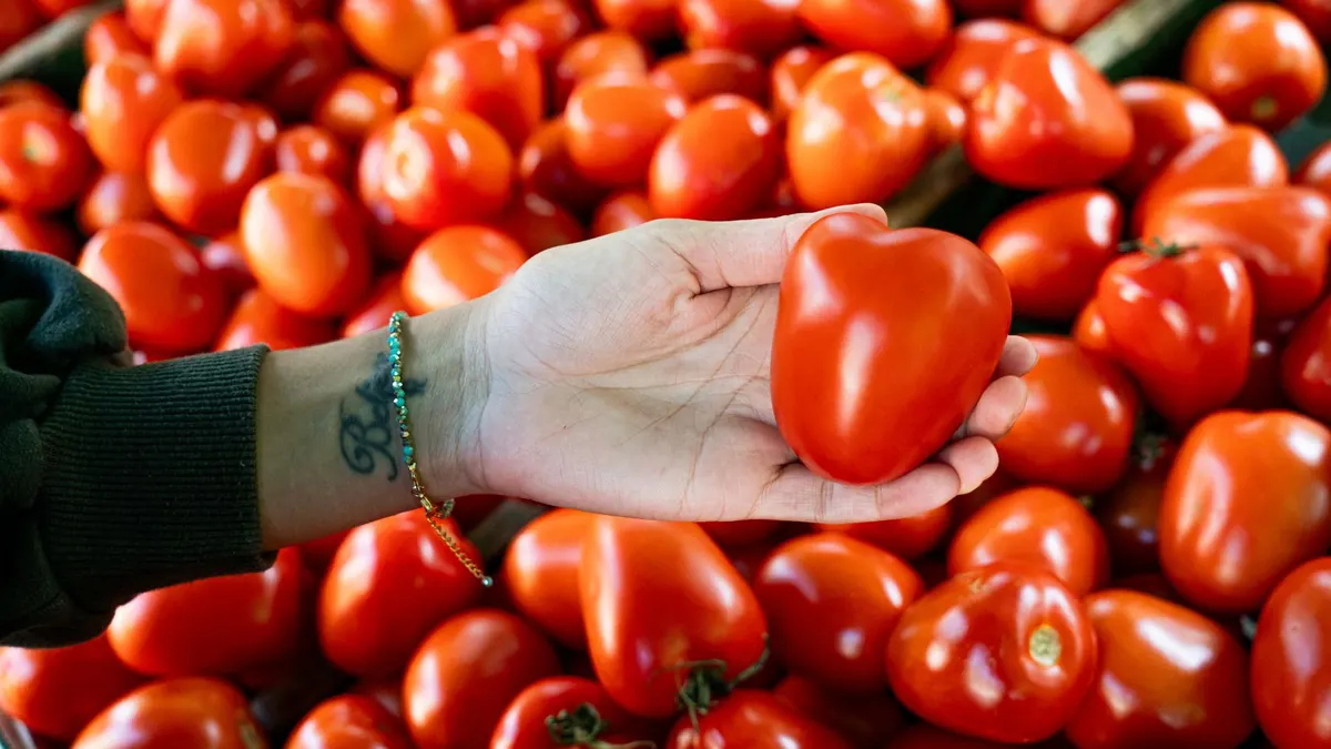 tomatoes export market for UAE buyers