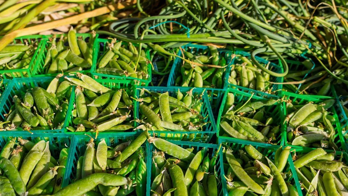 fresh produce export market for UAE buyers